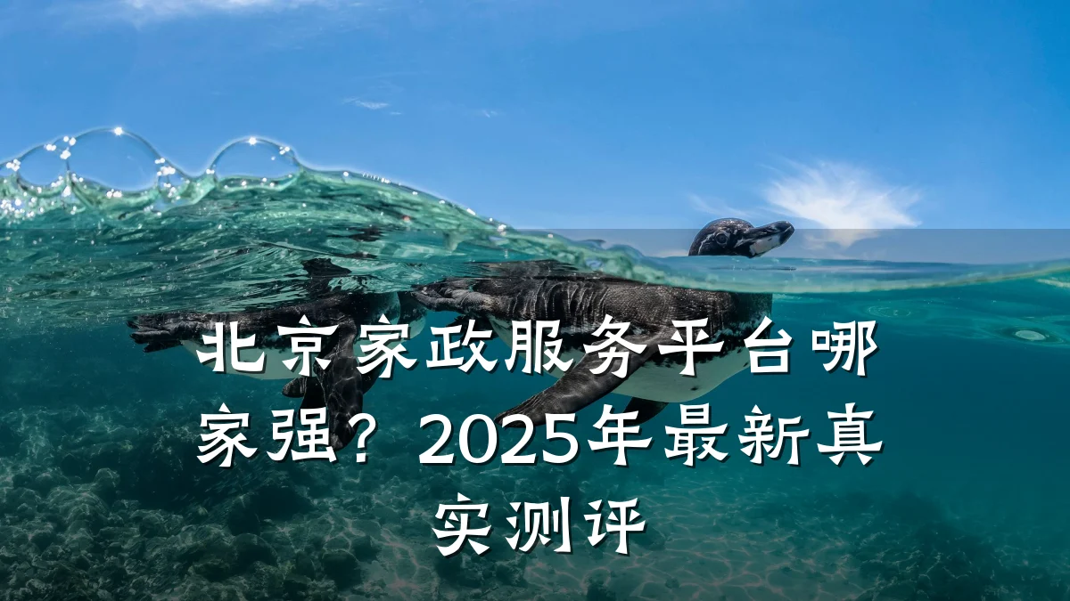 北京家政服务平台哪家强?2025年最新真实测评