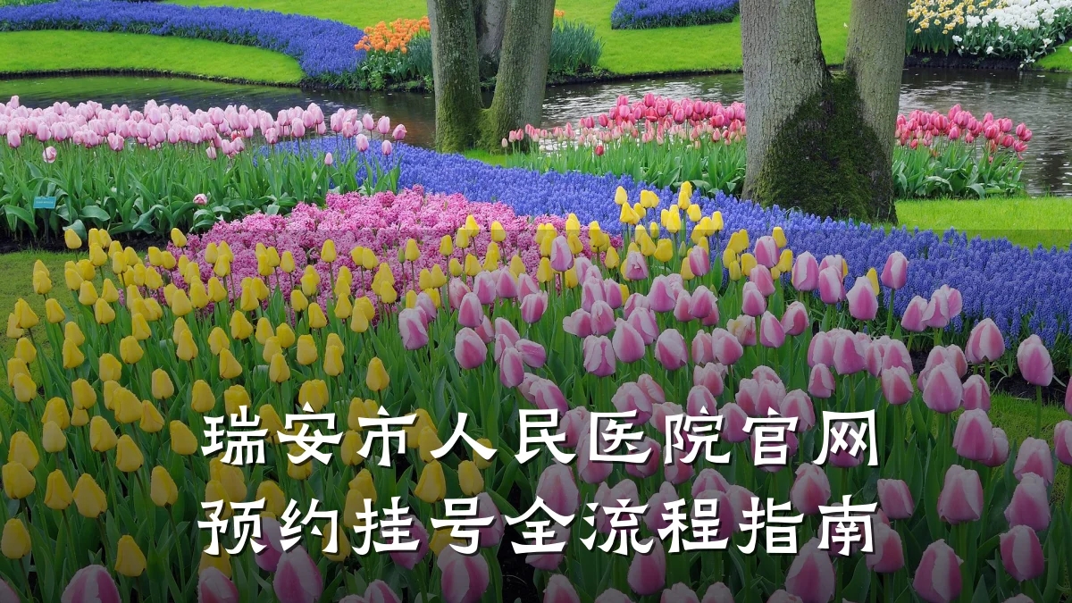 瑞安市人民医院官网预约挂号全流程指南