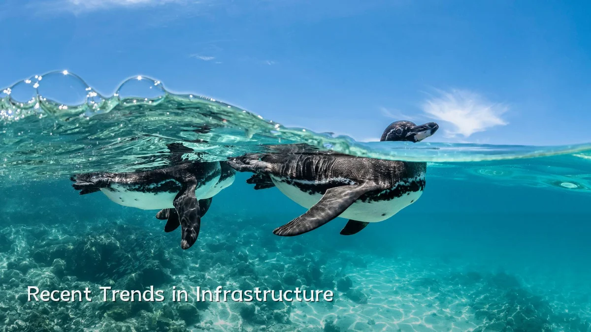 Recent Trends in Infrastructure