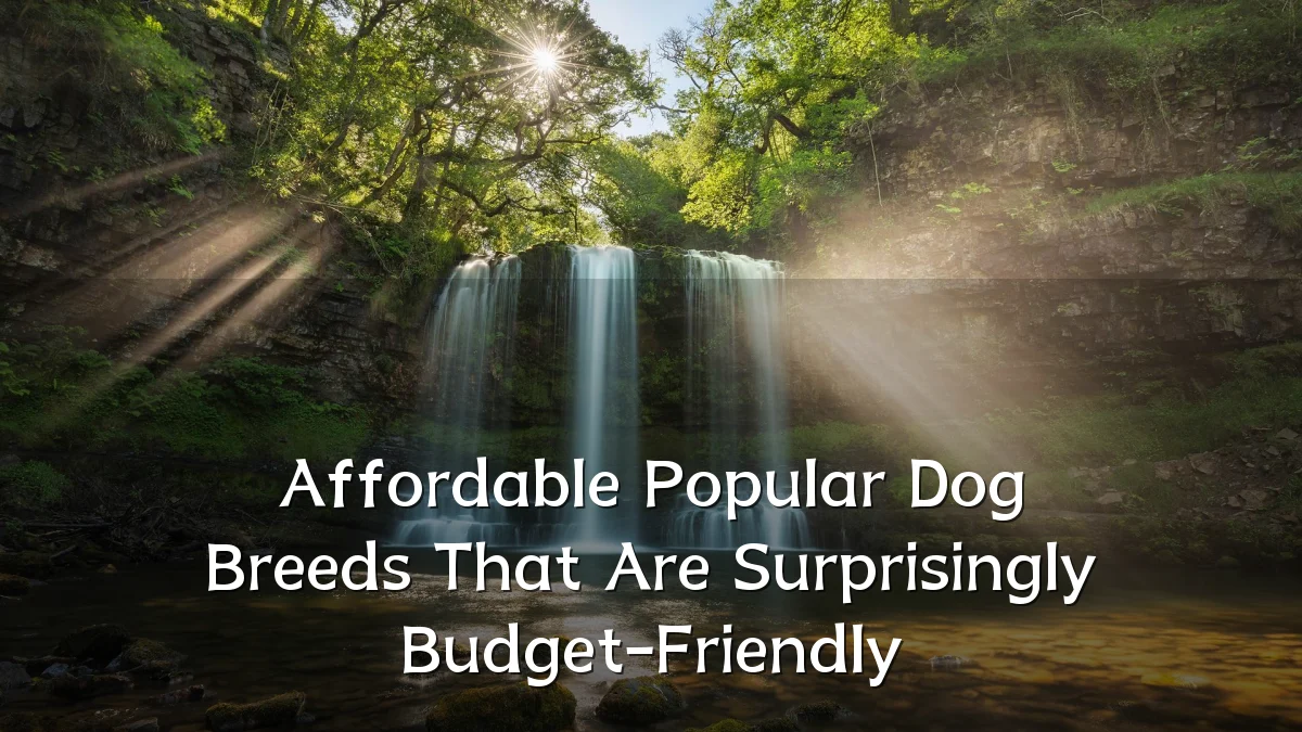 Affordable Popular Dog Breeds That Are Surprisingly Budget-Friendly