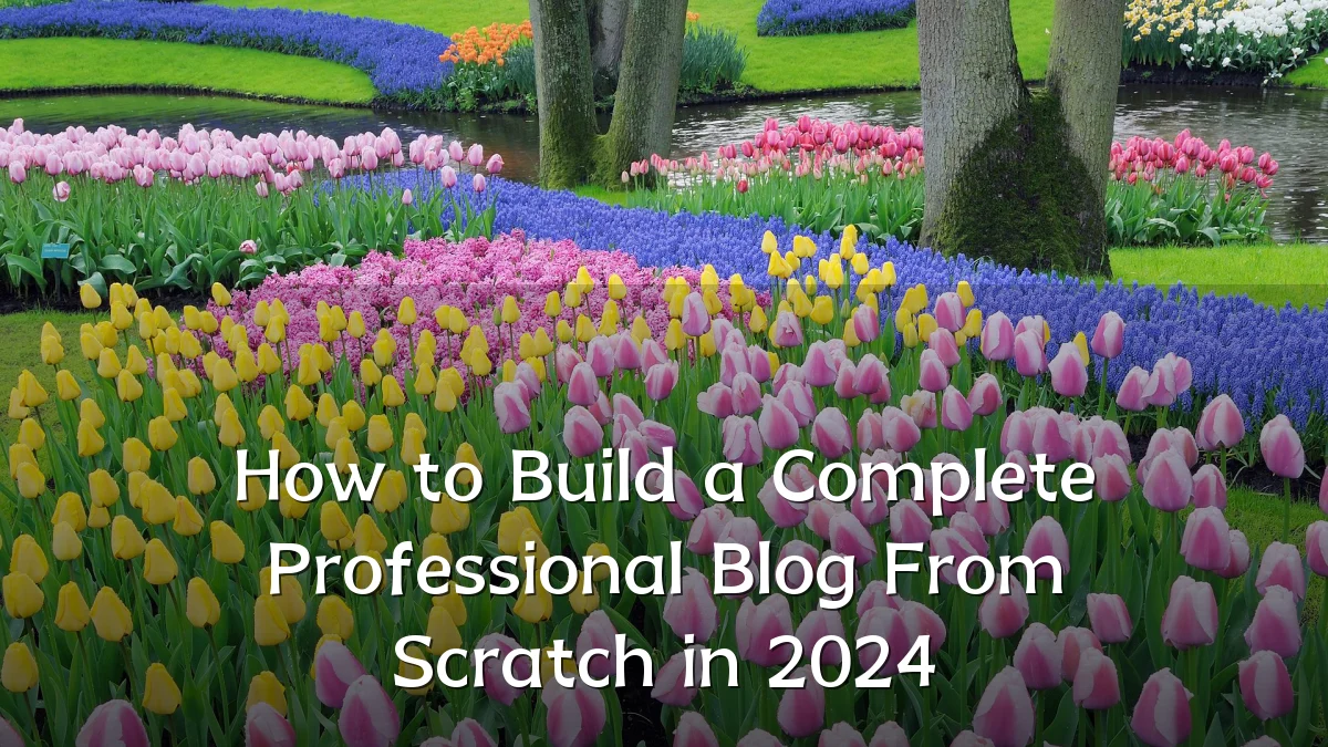 How to Build a Complete Professional Blog From Scratch in 2024