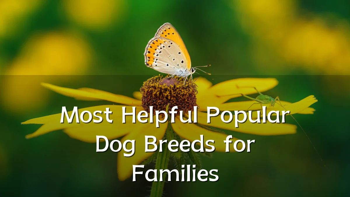 Most Helpful Popular Dog Breeds for Families