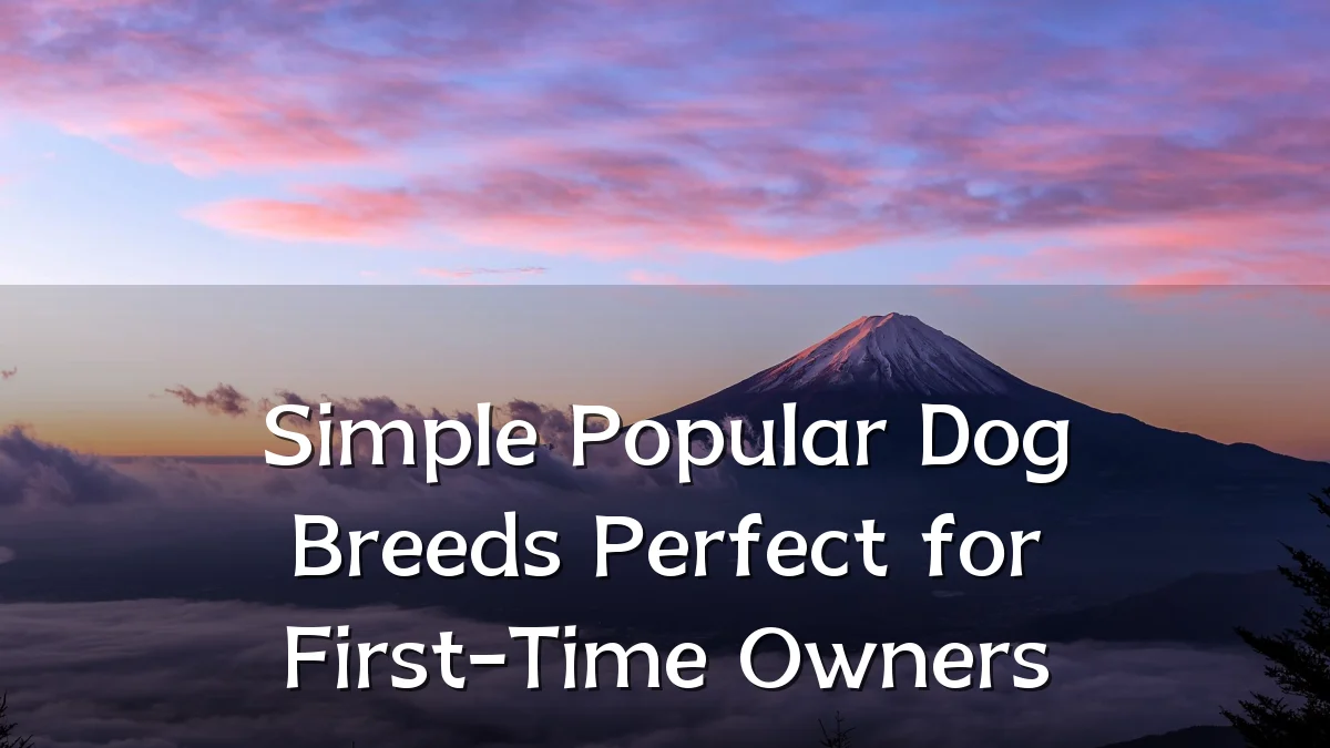 Simple Popular Dog Breeds Perfect for First-Time Owners