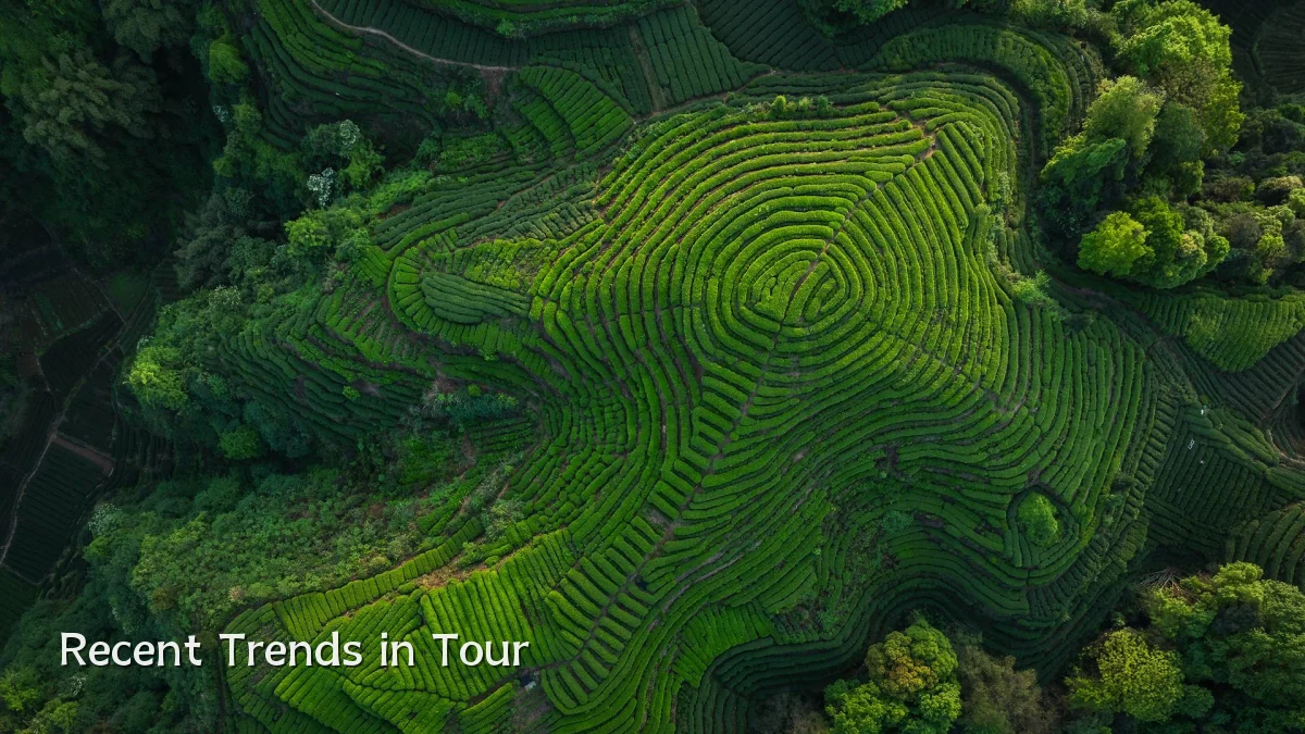 Recent Trends in Tour