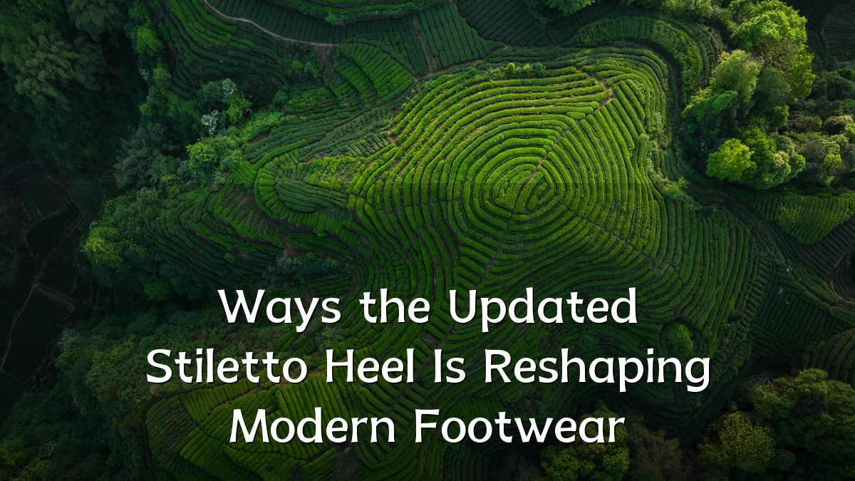 Ways the Updated Stiletto Heel Is Reshaping Modern Footwear
