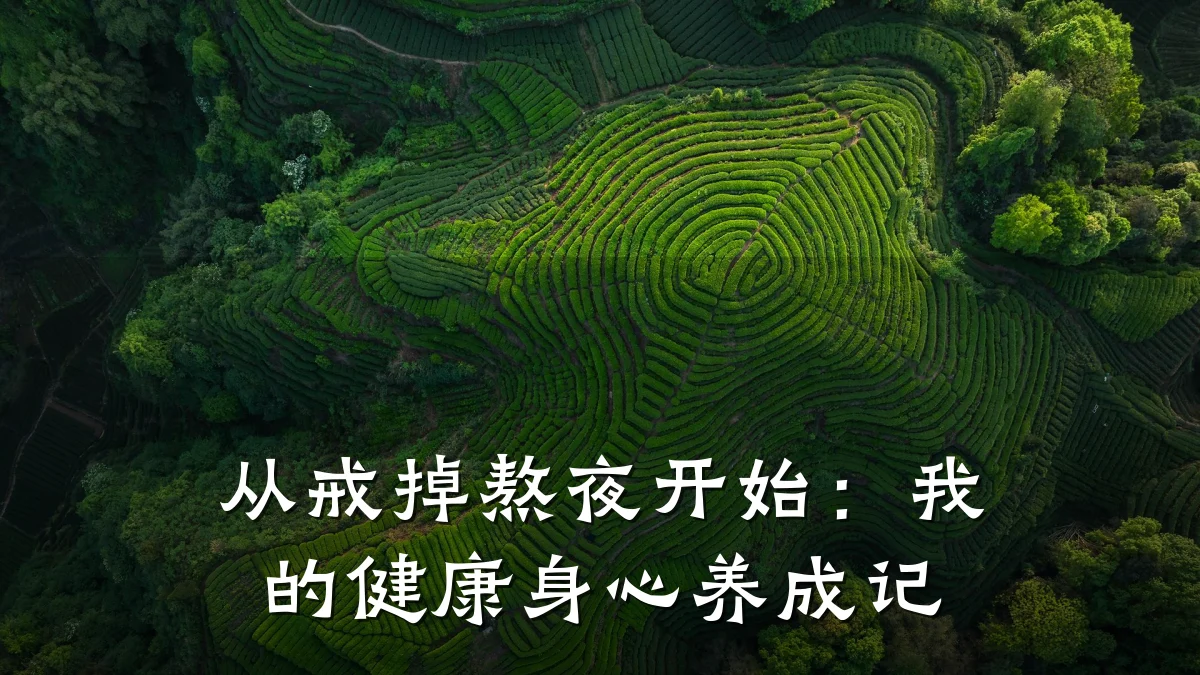 从戒掉熬夜开始：我的健康身心养成记
