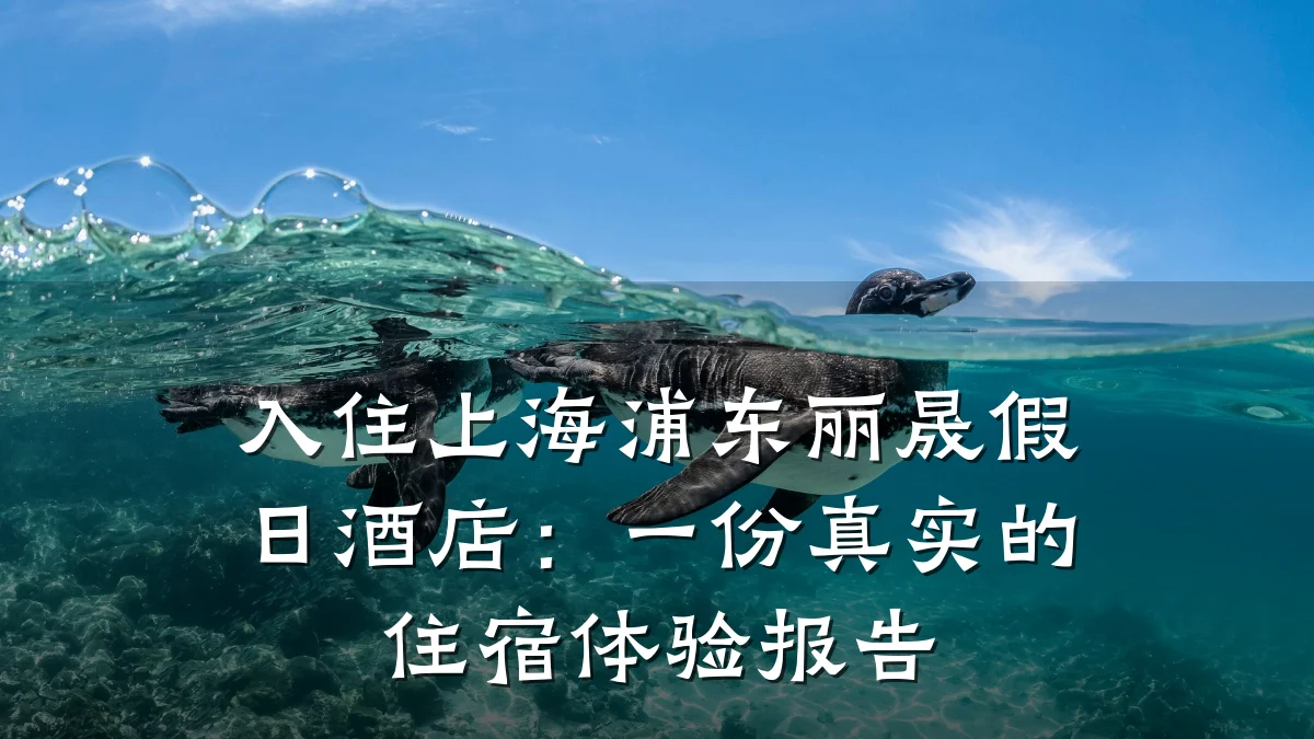 入住上海浦东丽晟假日酒店:一份真实的住宿体验报告