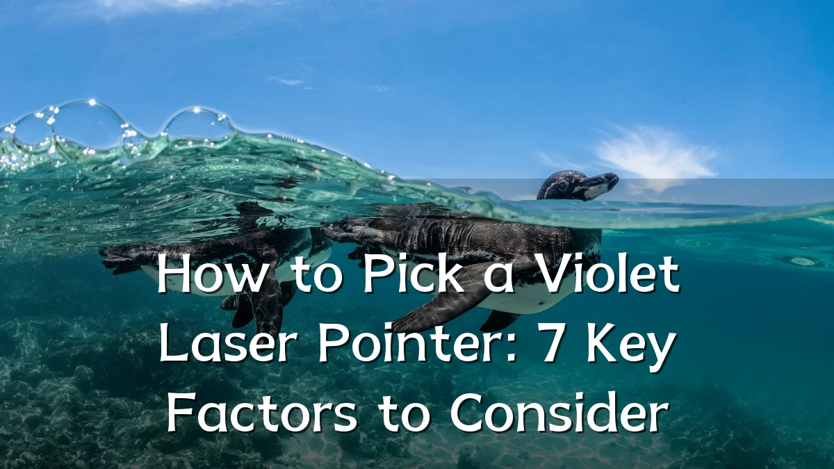 How to Pick a Violet Laser Pointer: 7 Key Factors to Consider