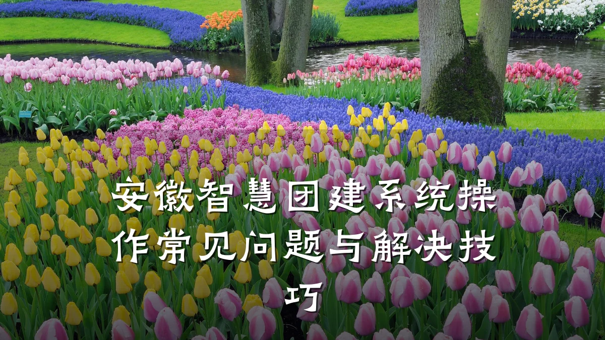 安徽智慧团建系统操作常见问题与解决技巧