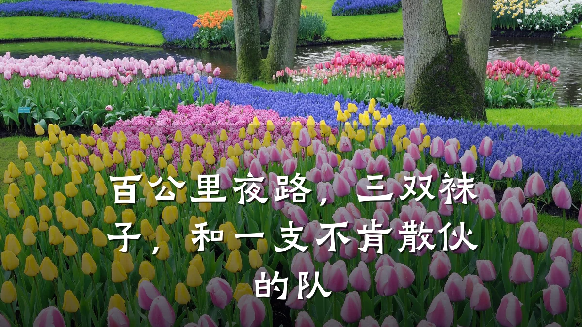 百公里夜路,三双袜子,和一支不肯散伙的队