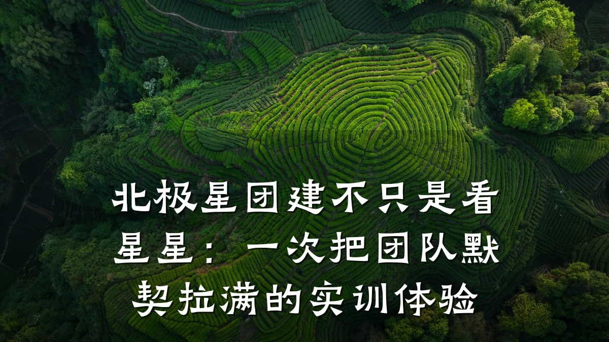 北极星团建不只是看星星：一次把团队默契拉满的实训体验