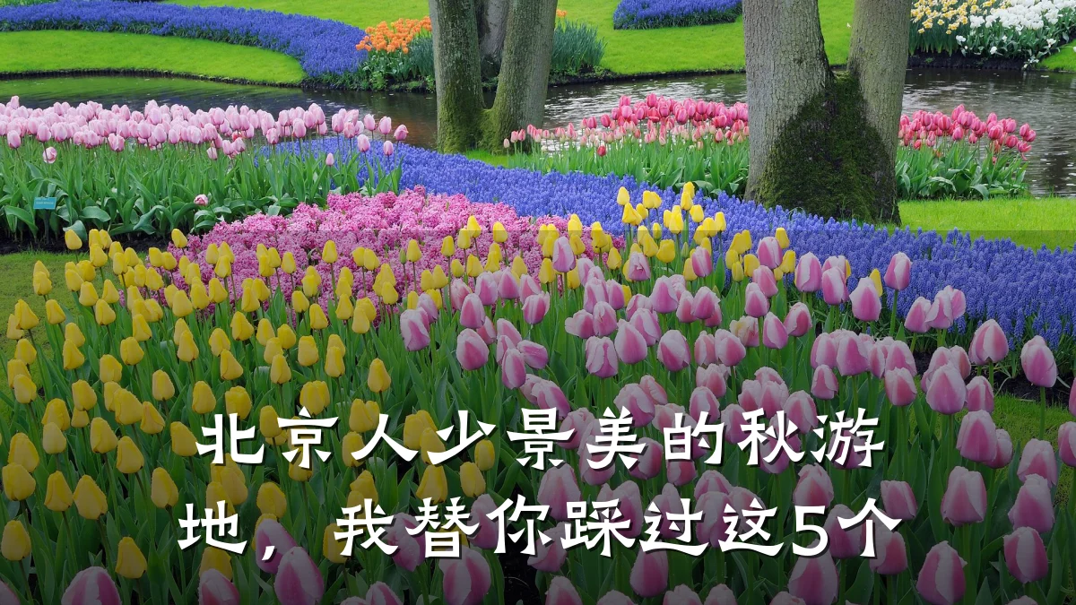 北京人少景美的秋游地,我替你踩过这5个