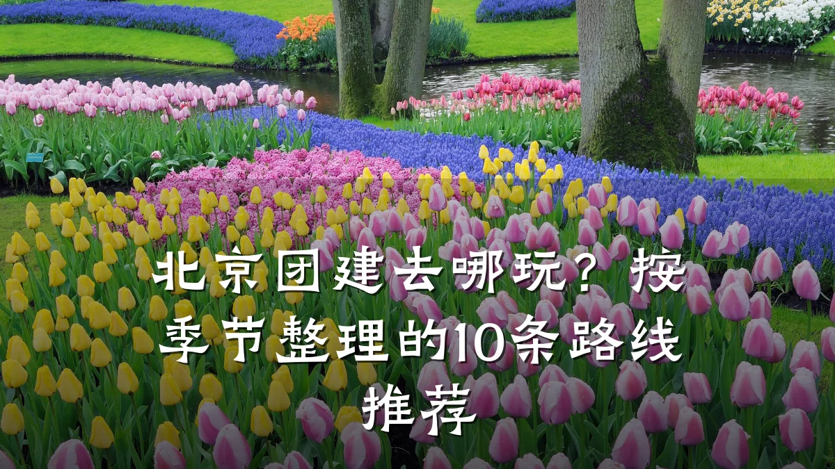 北京团建去哪玩?按季节整理的10条路线推荐