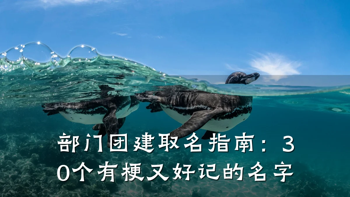 部门团建取名指南:30个有梗又好记的名字