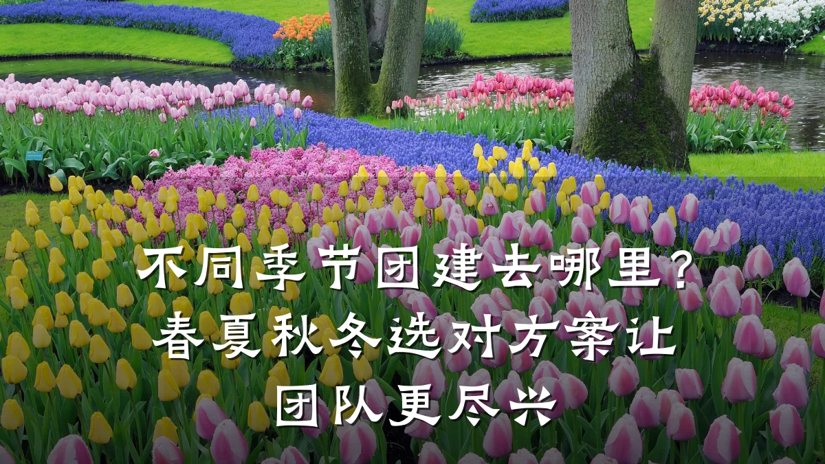 不同季节团建去哪里?春夏秋冬选对方案让团队更尽兴