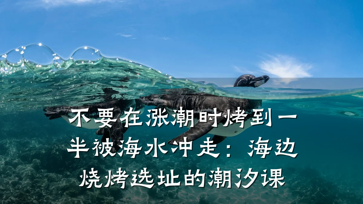 不要在涨潮时烤到一半被海水冲走:海边烧烤选址的潮汐课