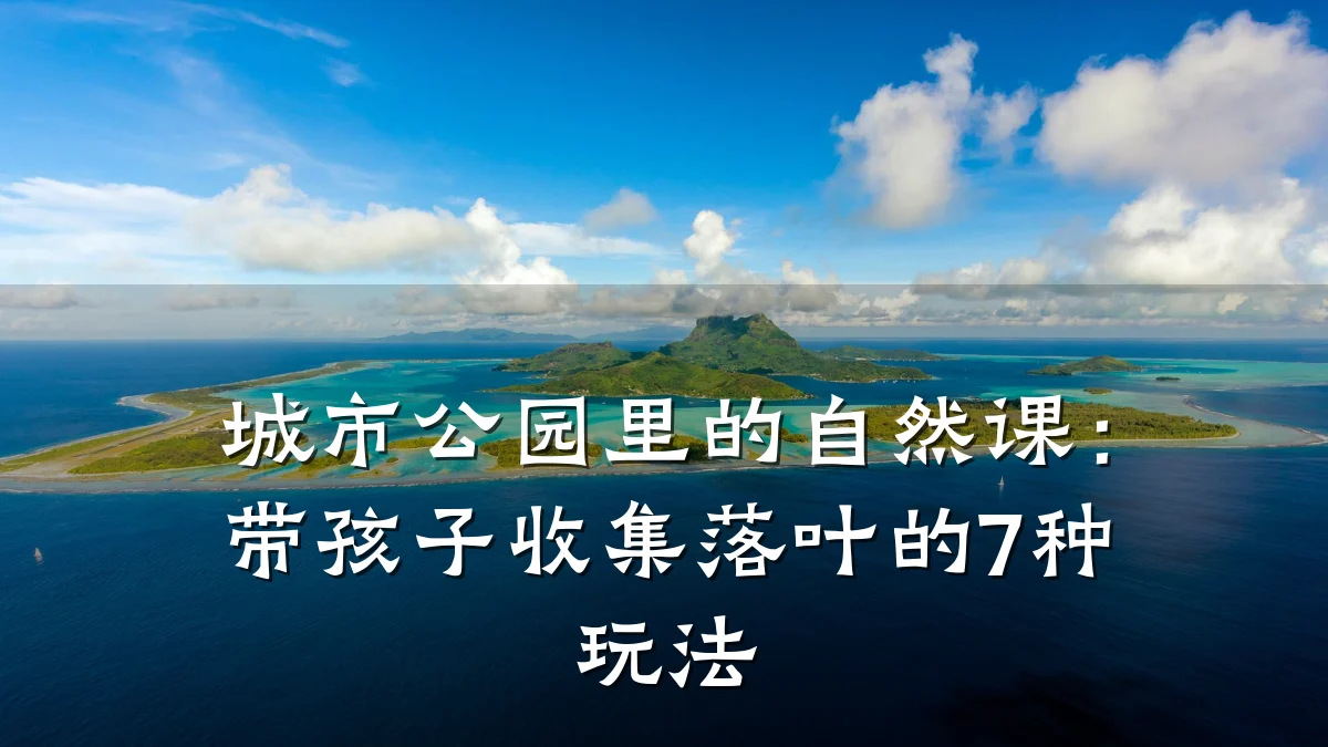 城市公园里的自然课:带孩子收集落叶的7种玩法