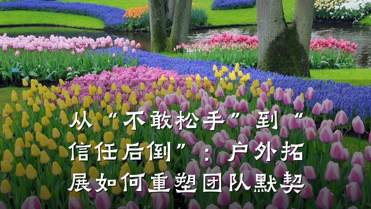 从“不敢松手”到“信任后倒”:户外拓展如何重塑团队默契