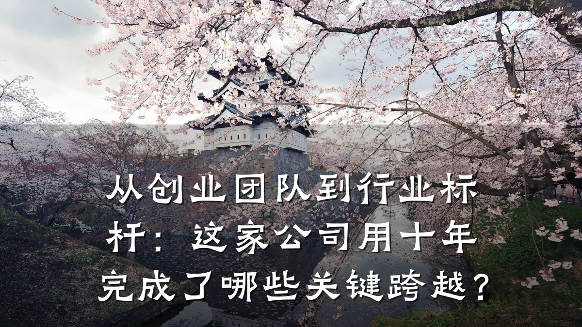 从创业团队到行业标杆:这家公司用十年完成了哪些关键跨越?