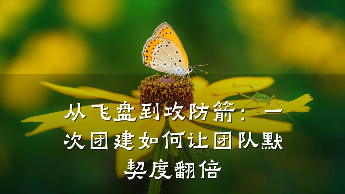 从飞盘到攻防箭：一次团建如何让团队默契度翻倍