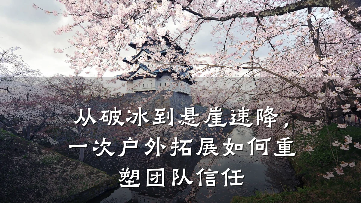 从破冰到悬崖速降,一次户外拓展如何重塑团队信任