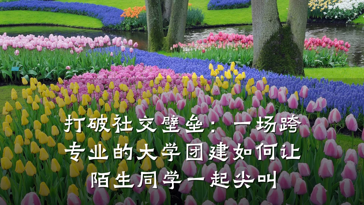 打破社交壁垒:一场跨专业的大学团建如何让陌生同学一起尖叫