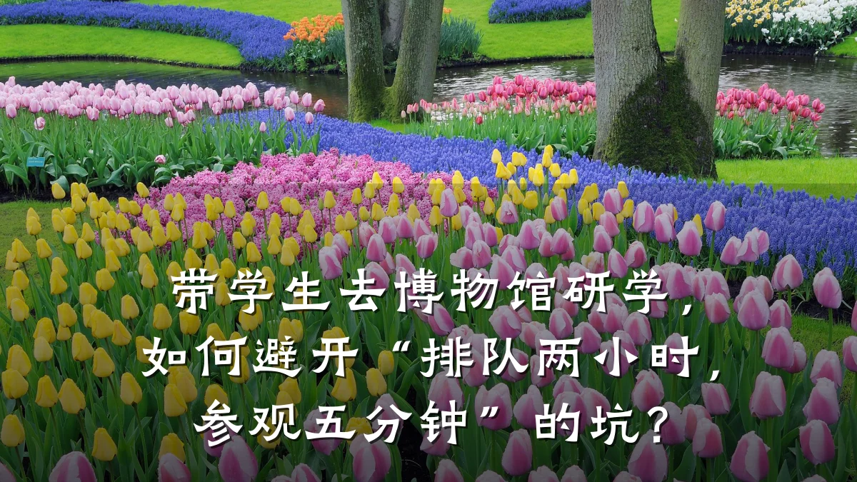 带学生去博物馆研学,如何避开“排队两小时,参观五分钟”的坑?