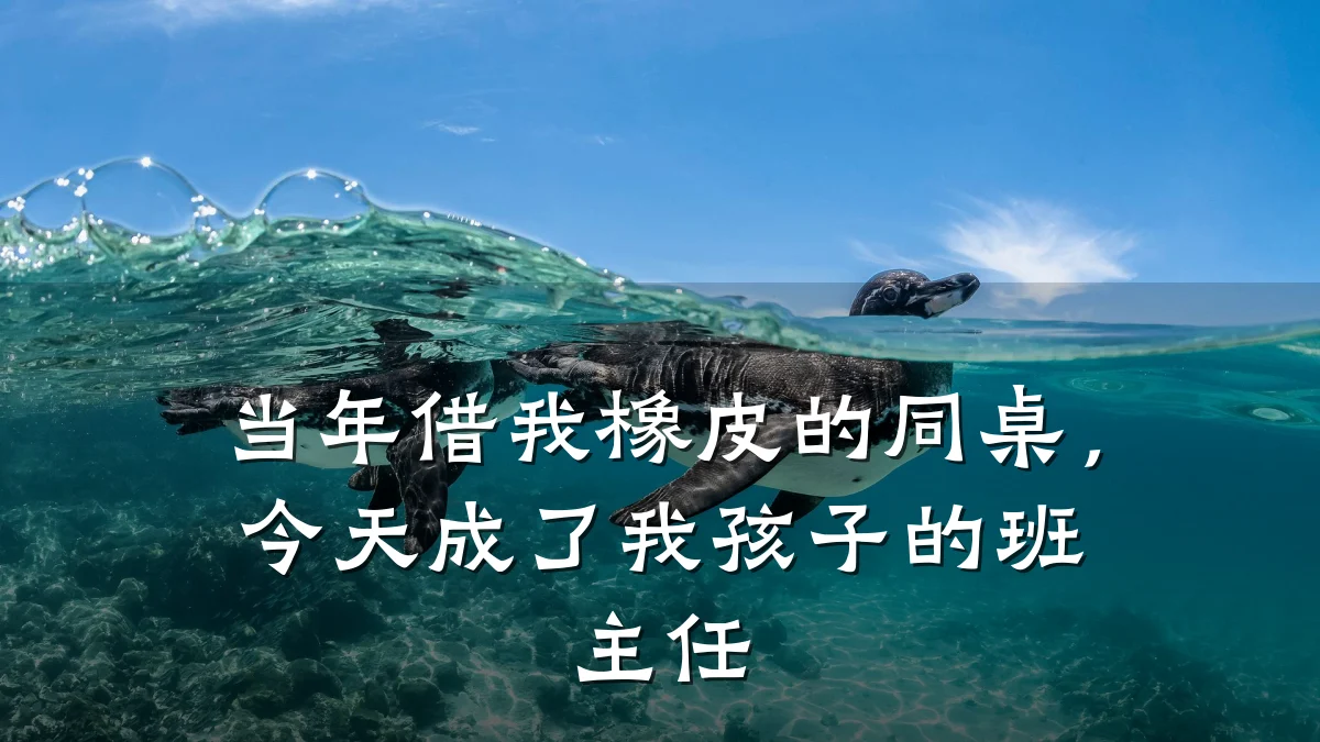 当年借我橡皮的同桌，今天成了我孩子的班主任