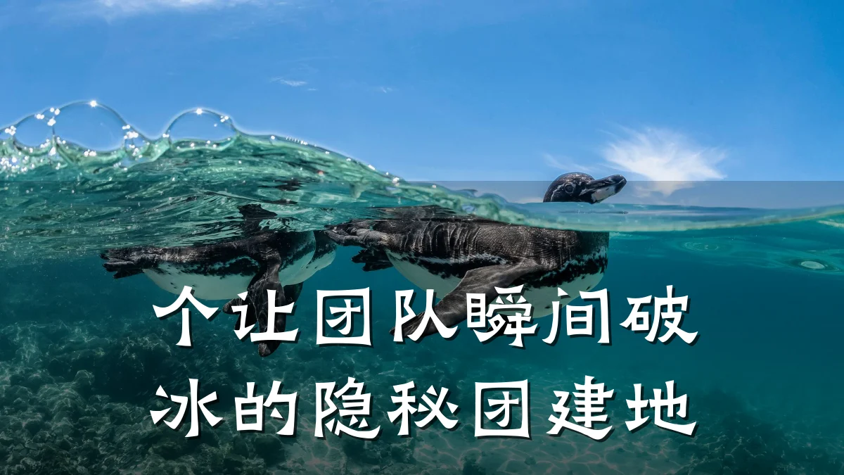 个让团队瞬间破冰的隐秘团建地