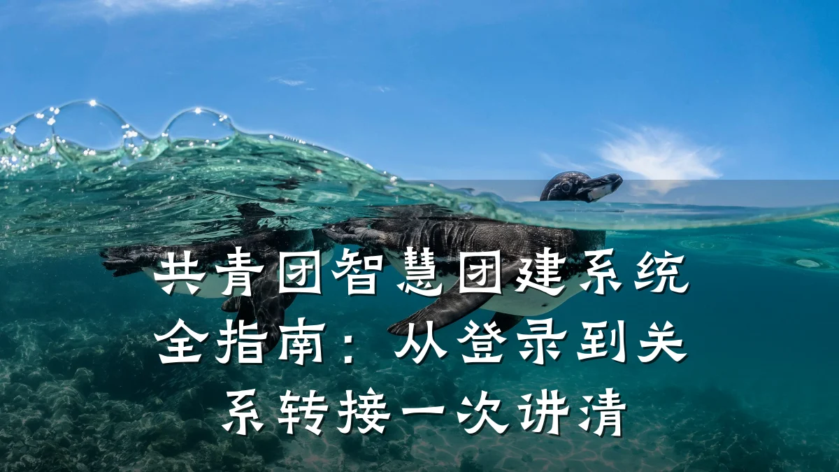 共青团智慧团建系统全指南:从登录到关系转接一次讲清