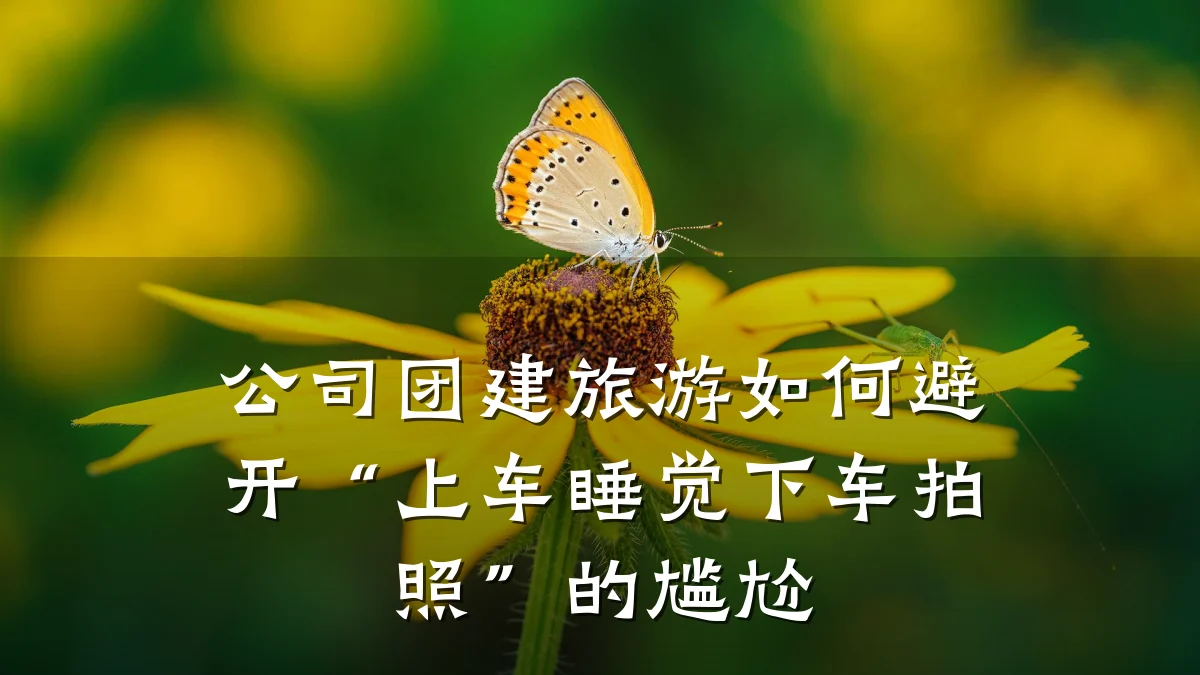 公司团建旅游如何避开“上车睡觉下车拍照”的尴尬