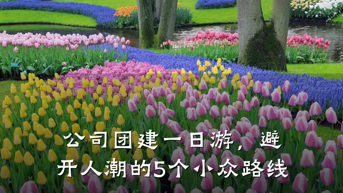 公司团建一日游，避开人潮的5个小众路线