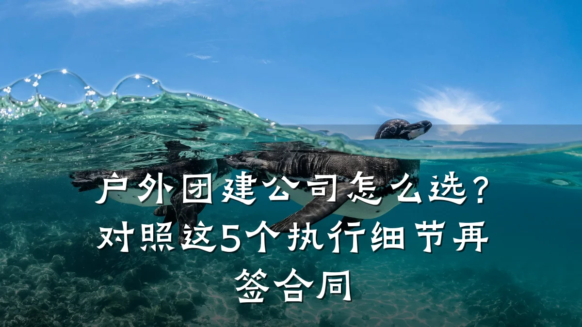 户外团建公司怎么选？对照这5个执行细节再签合同