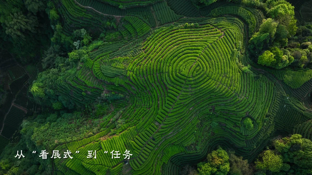 从“看展式”到“任务