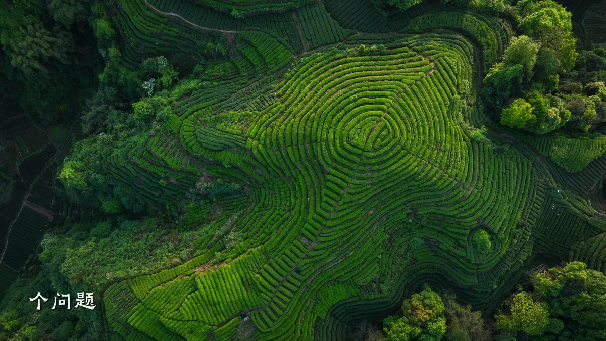 个问题