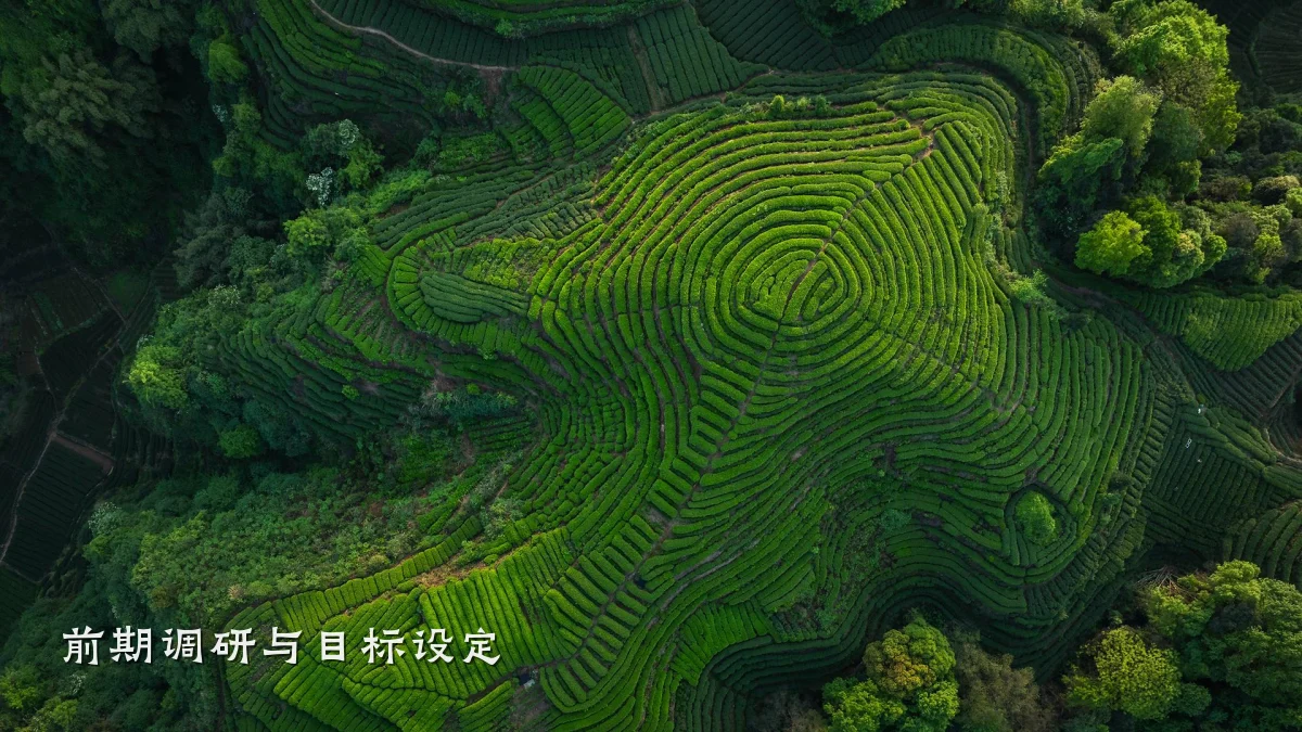 前期调研与目标设定