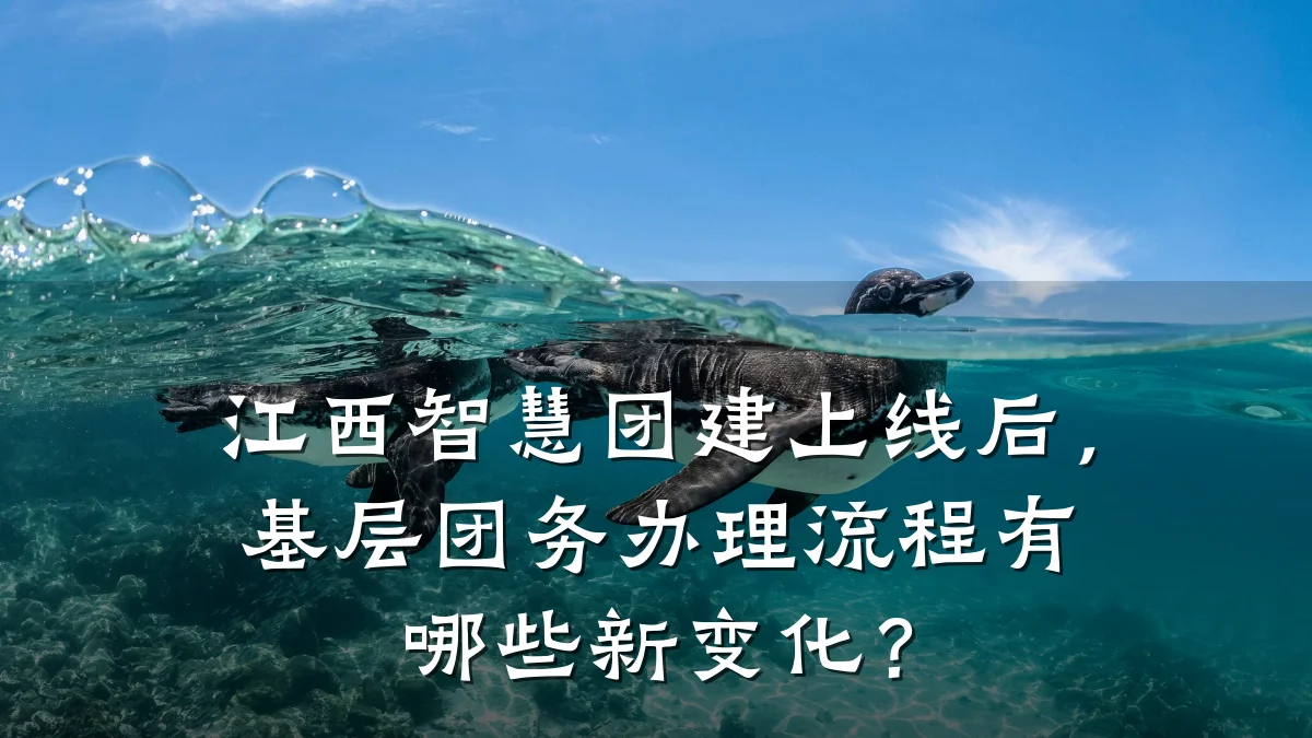江西智慧团建上线后,基层团务办理流程有哪些新变化?