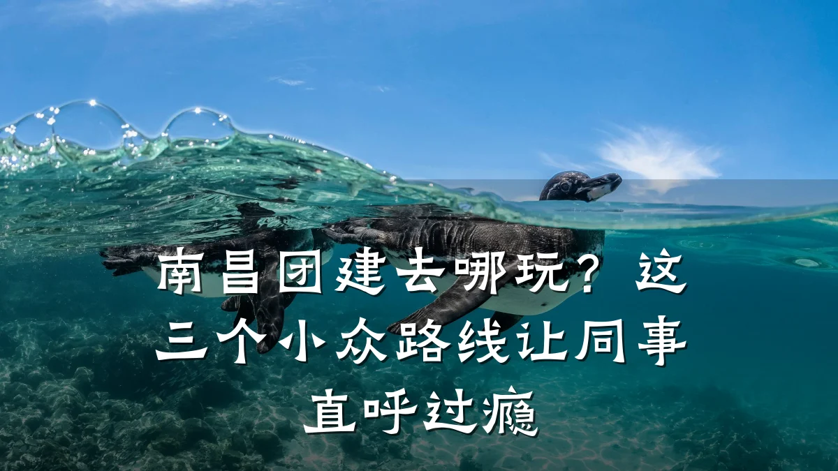 南昌团建去哪玩？这三个小众路线让同事直呼过瘾