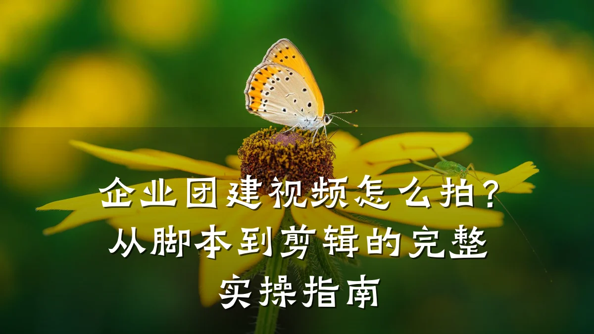 企业团建视频怎么拍？从脚本到剪辑的完整实操指南