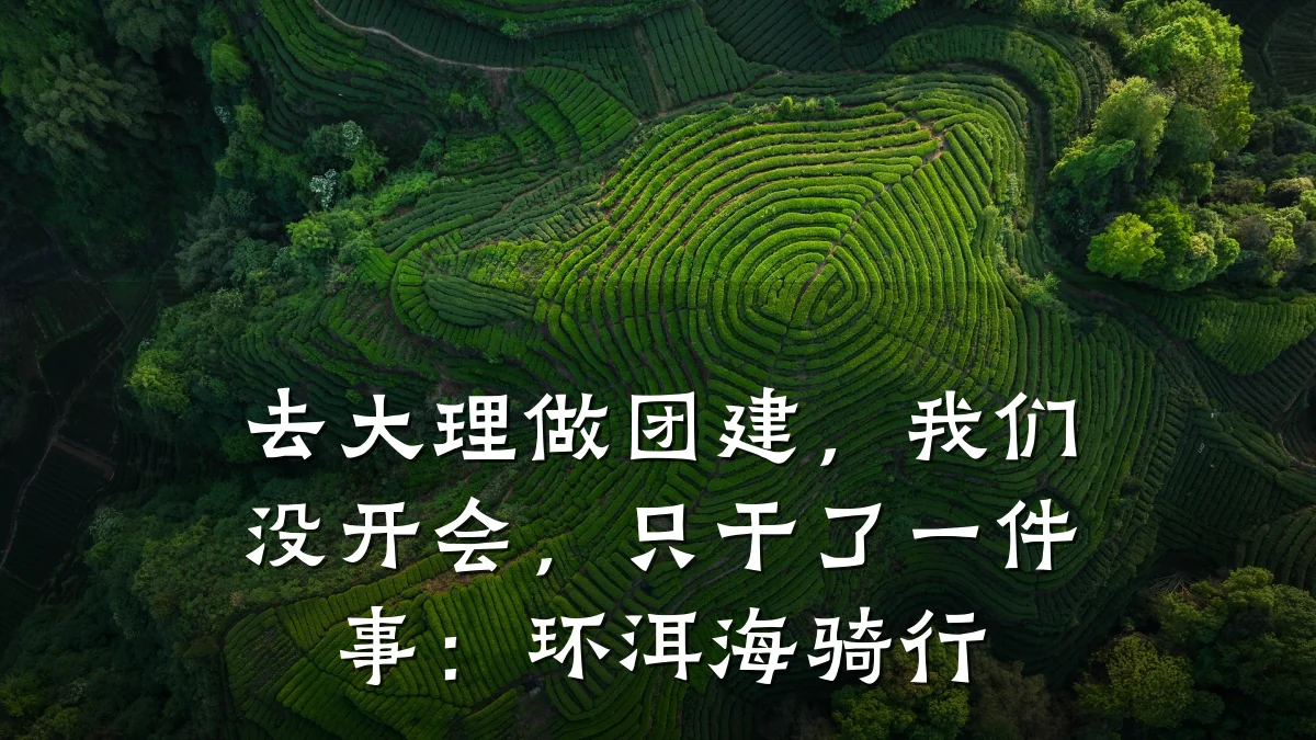 去大理做团建,我们没开会,只干了一件事:环洱海骑行