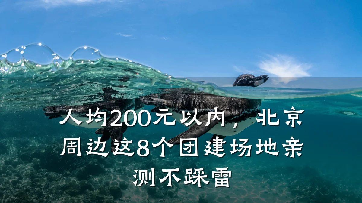 人均200元以内,北京周边这8个团建场地亲测不踩雷