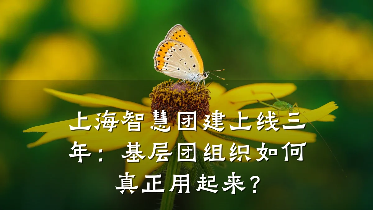 上海智慧团建上线三年:基层团组织如何真正用起来?