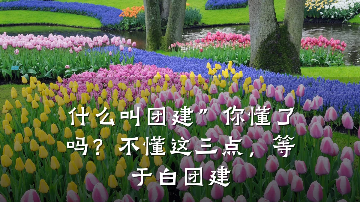 什么叫团建”你懂了吗？不懂这三点，等于白团建