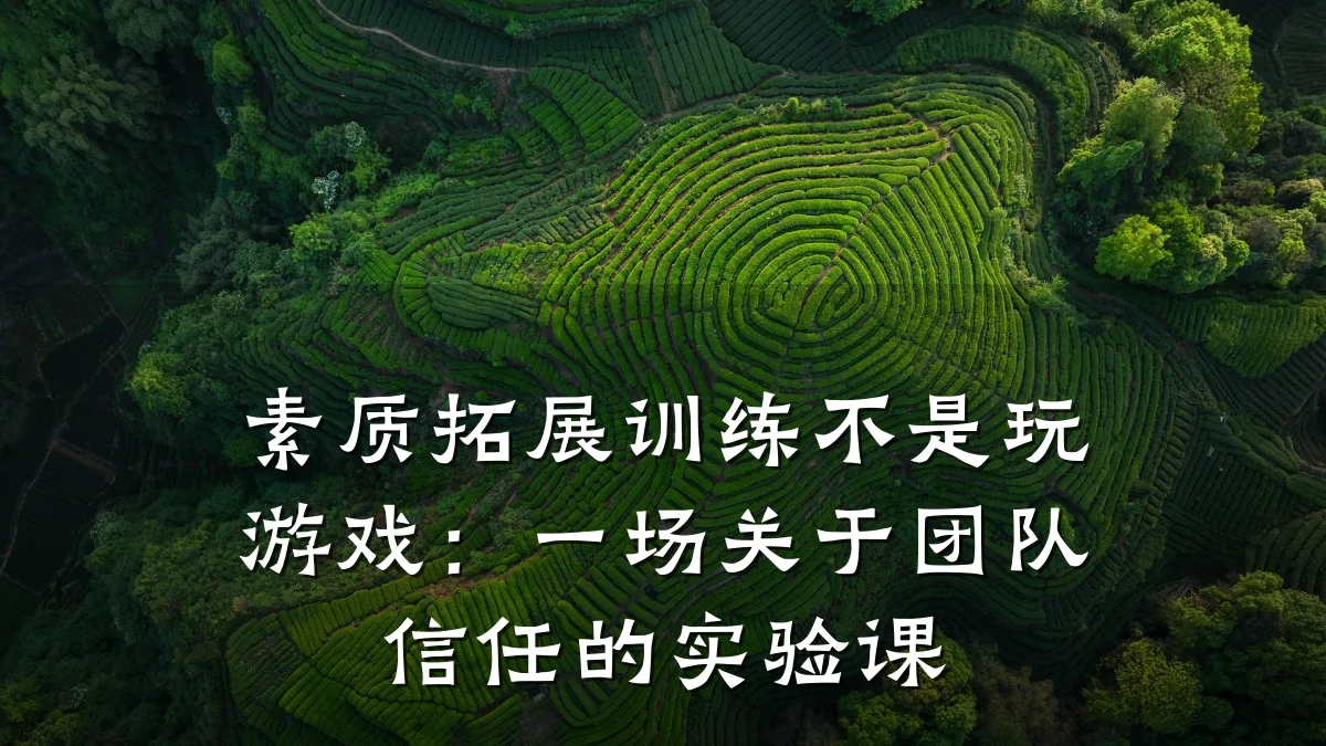 素质拓展训练不是玩游戏:一场关于团队信任的实验课