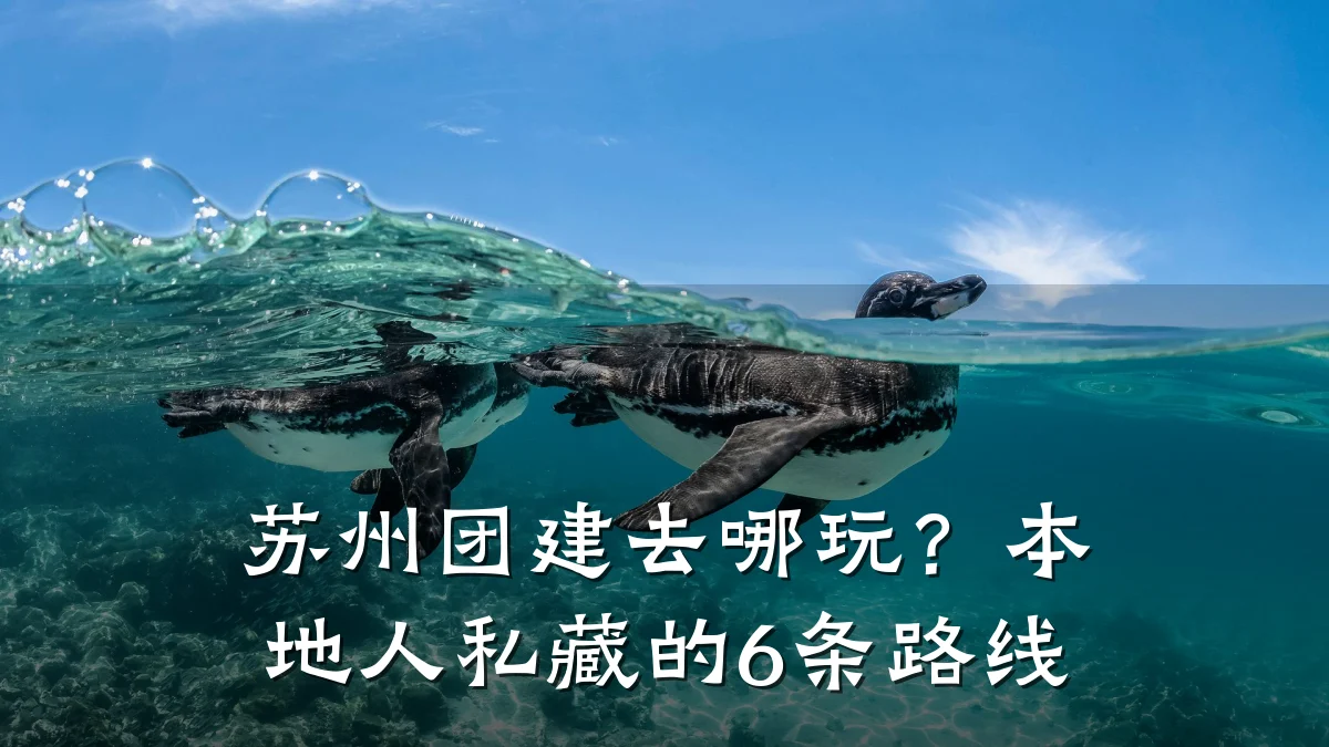 苏州团建去哪玩?本地人私藏的6条路线