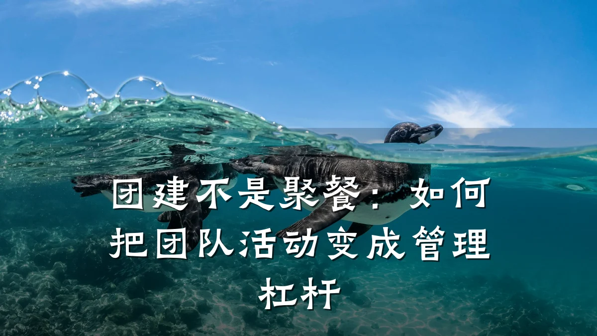 团建不是聚餐:如何把团队活动变成管理杠杆