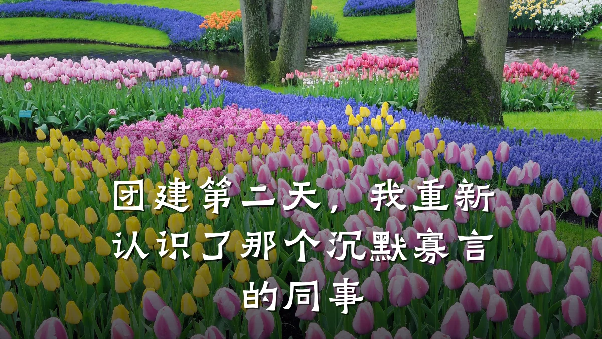 团建第二天,我重新认识了那个沉默寡言的同事