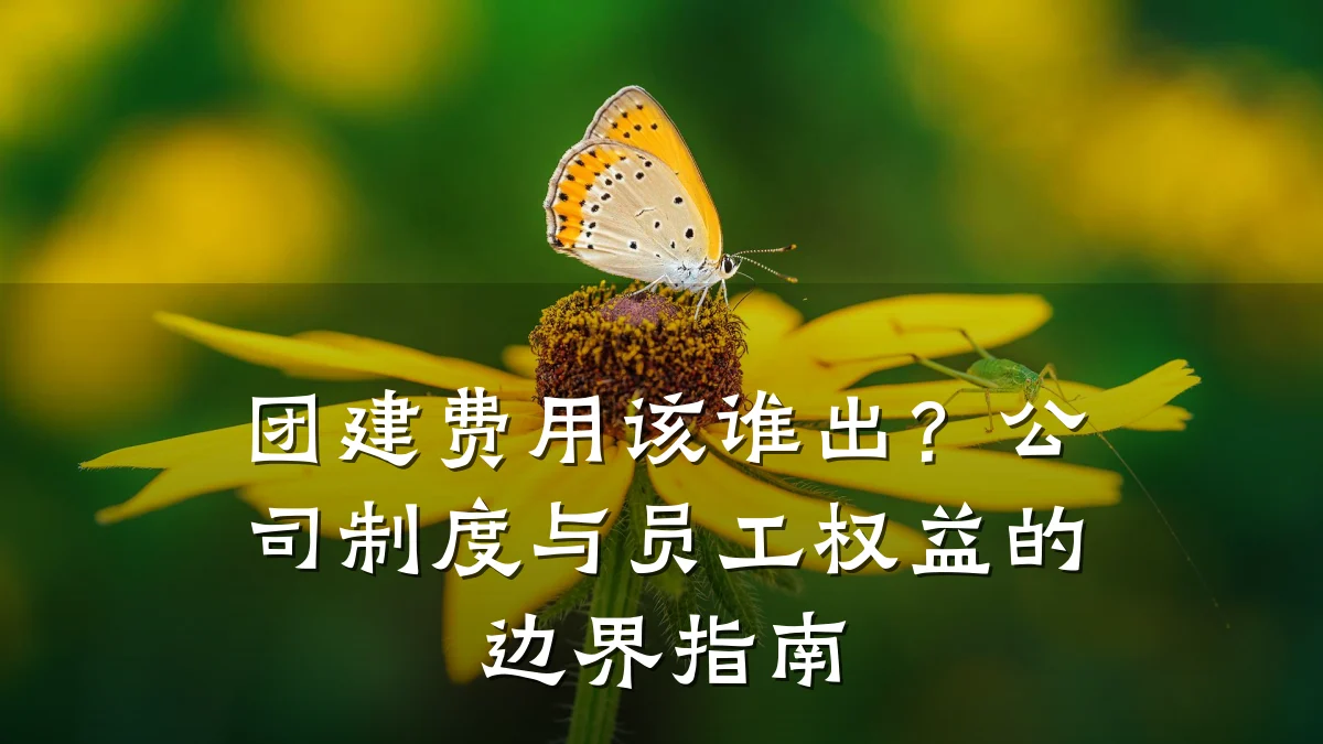 团建费用该谁出?公司制度与员工权益的边界指南
