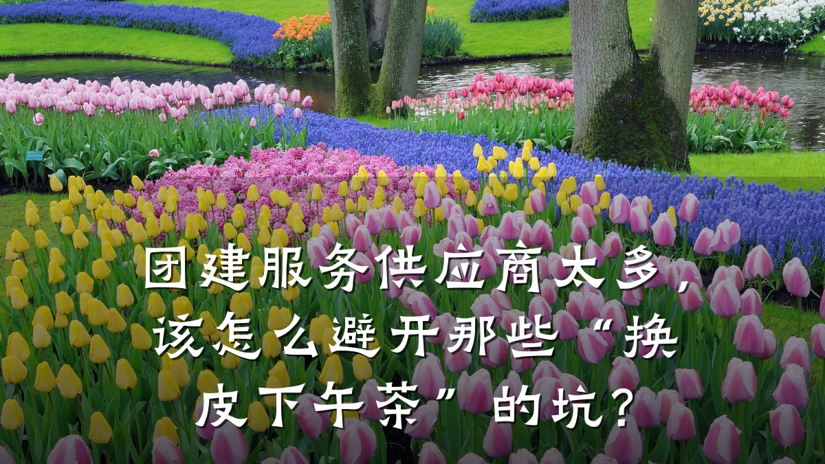 团建服务供应商太多,该怎么避开那些“换皮下午茶”的坑?