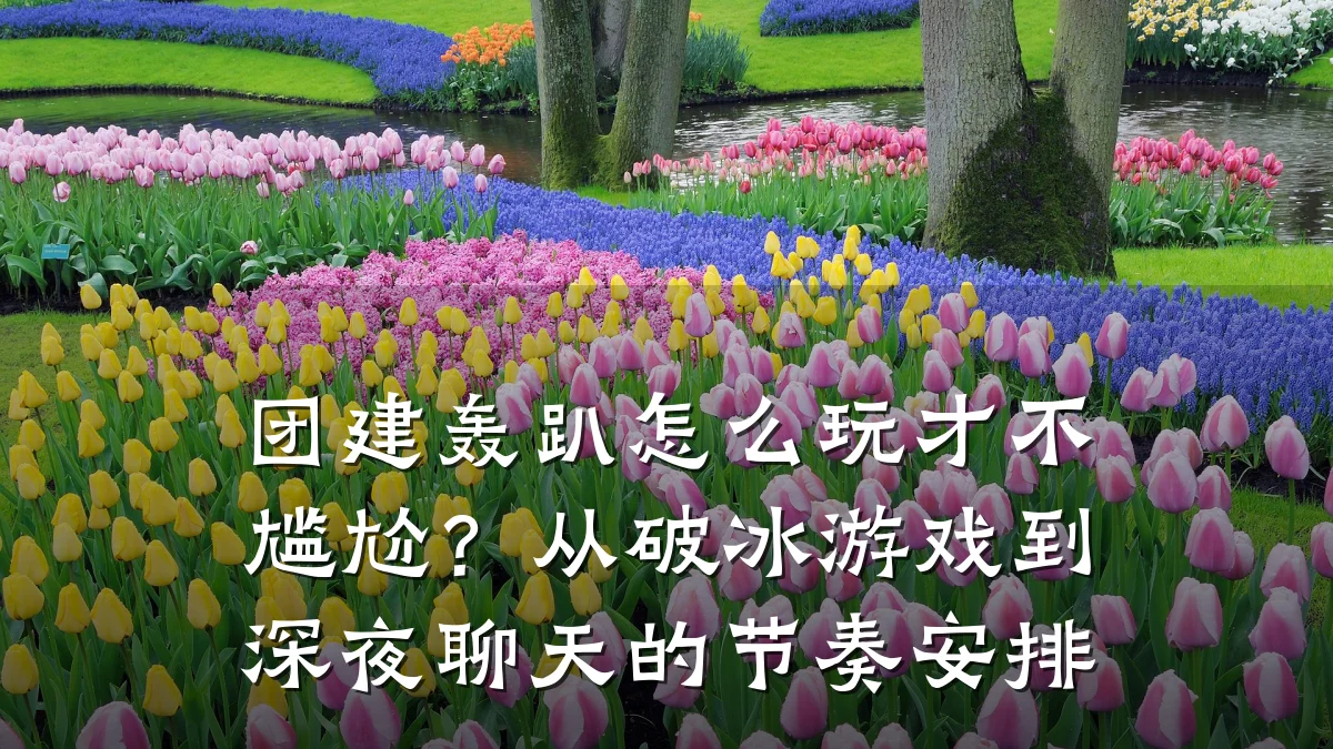 团建轰趴怎么玩才不尴尬?从破冰游戏到深夜聊天的节奏安排
